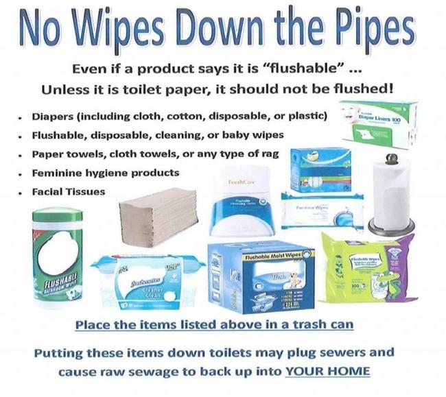 Even if a product says it's flushable, unless it is toilet paper, it shouldn't be flushed! No: Diapers (including cloth, cotton, disposable, or plastic); Flushable, disposable, cleaning, or baby wipes; Paper towels, cloth towels, or any type of rag; Feminine hygine products; Facial Tissues. Place these items in a trash can!