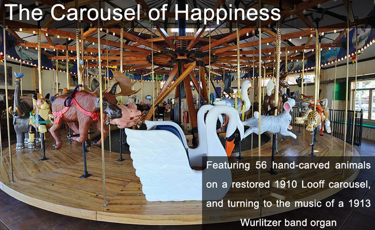 Carousel of Happiness Slide