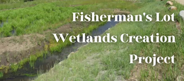 Fisherman's Lot Wetlands Creation Project